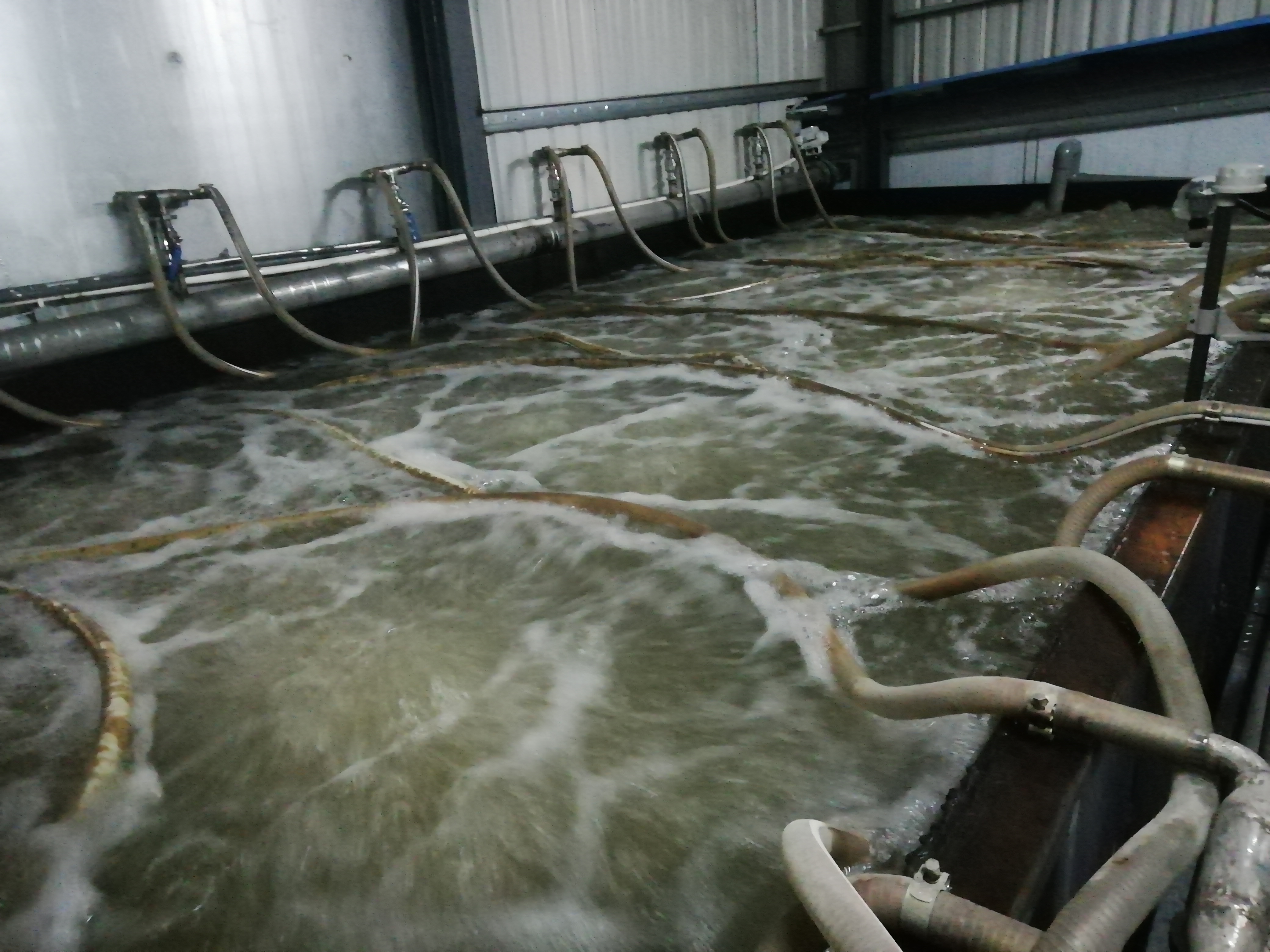 MBR工藝流程圖,MBR工藝有哪些特點?