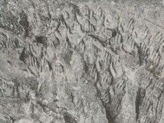 紅色led的活性層是采用什么材料制備的