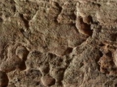 含油污水不處理會(huì)有什么危害